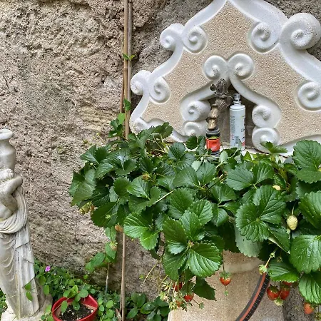 Villa Rosa Beziers-2